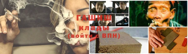 прущие грибы Баксан