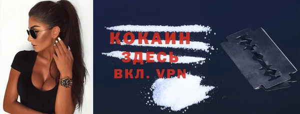 прущие грибы Баксан